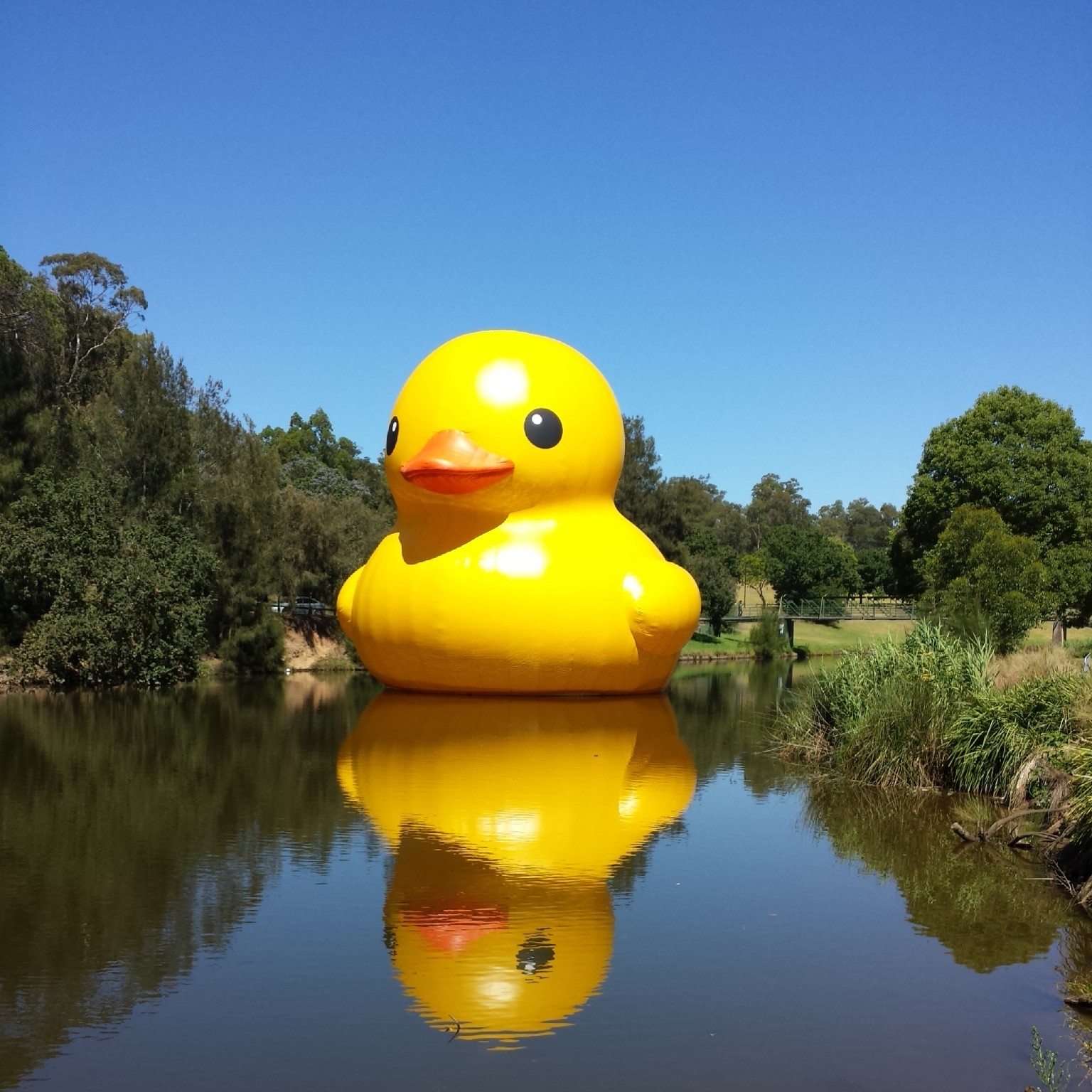 A photo of a giant rubber duck.